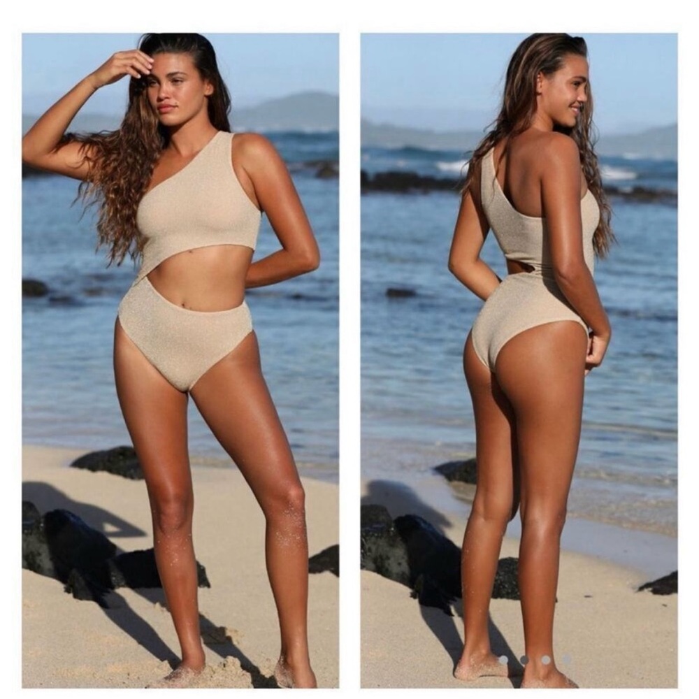 Beach Riot Metallic Tan Swimsuit - Picture 4 of 6